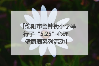 绵阳市警钟街小学举行了“5.25”心理健康周系列活动