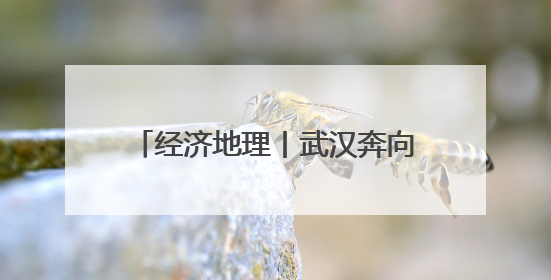 经济地理丨武汉奔向新时代“九州通衢”