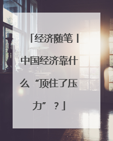 经济随笔丨中国经济靠什么“顶住了压力”？
