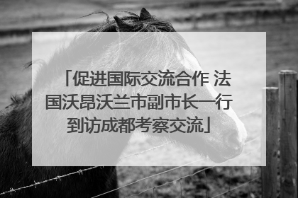 促进国际交流合作 法国沃昂沃兰市副市长一行到访成都考察交流