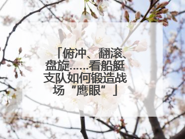 俯冲、翻滚、盘旋……看船艇支队如何锻造战场“鹰眼”