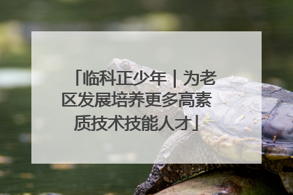 临科正少年｜为老区发展培养更多高素质技术技能人才