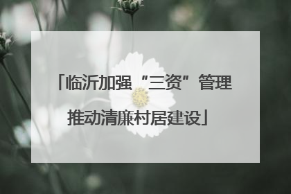 临沂加强“三资”管理 推动清廉村居建设