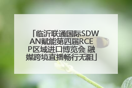 临沂联通国际SDWAN赋能第四届RCEP区域进口博览会 融媒跨境直播畅行无阻