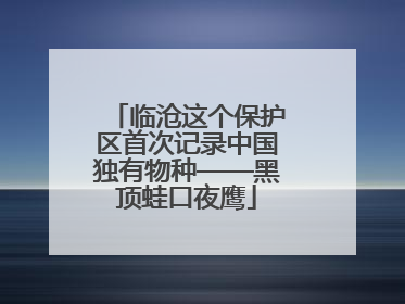 临沧这个保护区首次记录中国独有物种——黑顶蛙口夜鹰