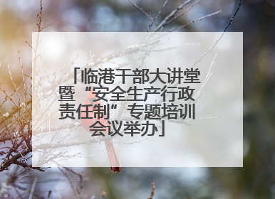 临港干部大讲堂暨“安全生产行政责任制”专题培训会议举办