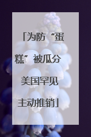 为防“蛋糕”被瓜分 美国罕见主动推销