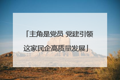 主角是党员 党建引领这家民企高质量发展