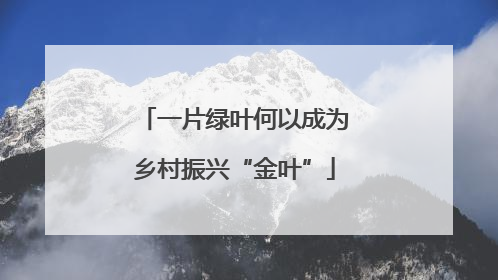 一片绿叶何以成为乡村振兴“金叶”