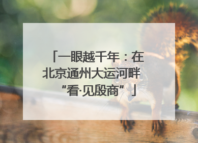 一眼越千年：在北京通州大运河畔“看·见殷商”