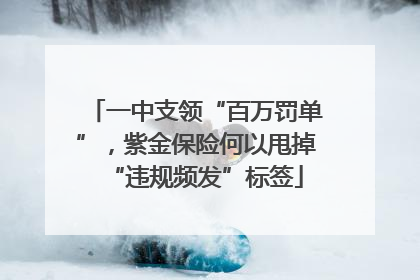 一中支领“百万罚单”，紫金保险何以甩掉“违规频发”标签