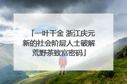 一叶千金 浙江庆元新的社会阶层人士破解荒野茶致富密码