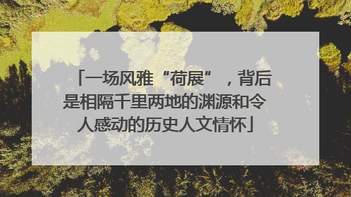 一场风雅“荷展”，背后是相隔千里两地的渊源和令人感动的历史人文情怀