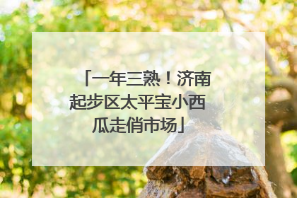 一年三熟！济南起步区太平宝小西瓜走俏市场