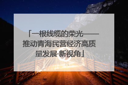 一根线缆的荣光——推动青海民营经济高质量发展·新视角