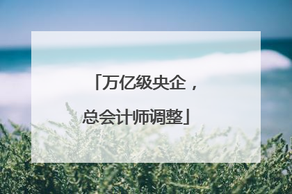 万亿级央企，总会计师调整