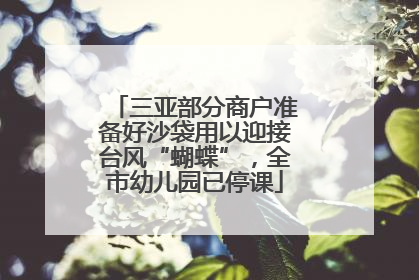 三亚部分商户准备好沙袋用以迎接台风“蝴蝶”，全市幼儿园已停课