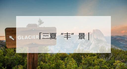 三夏“丰”景｜“五良”齐迎北京小麦收获日