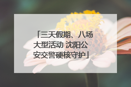 三天假期、八场大型活动 沈阳公安交警硬核守护