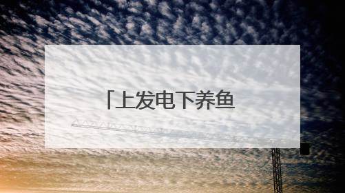 上发电下养鱼 废坑塘巧生金
