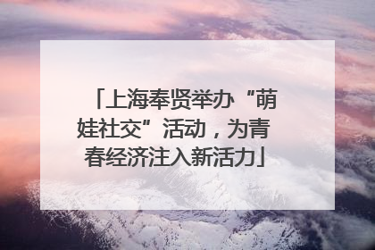 上海奉贤举办“萌娃社交”活动，为青春经济注入新活力
