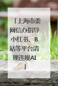上海市委网信办指导小红书、B站等平台清理违规AI