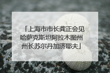 上海市市长龚正会见哈萨克斯坦阿拉木图州州长苏尔丹加济耶夫