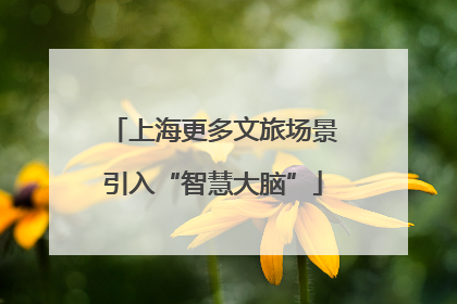 上海更多文旅场景引入“智慧大脑”