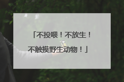 不投喂！不放生！不触摸野生动物！