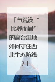 与荒漠“比邻而居”的高台湿地如何守住西北生态防线？