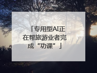 专用型AI正在帮旅游业者完成“功课”