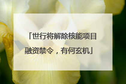 世行将解除核能项目融资禁令，有何玄机