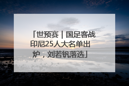 世预赛｜国足客战印尼25人大名单出炉，刘若钒落选