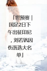 世预赛｜国足2日下午出征印尼，刘若钒因伤落选大名单