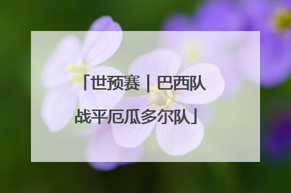 世预赛｜巴西队战平厄瓜多尔队