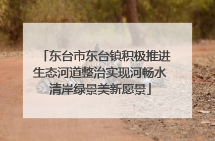 东台市东台镇积极推进生态河道整治实现河畅水清岸绿景美新愿景