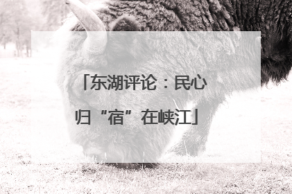 东湖评论：民心归“宿”在峡江