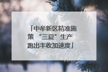 中牟新区精准施策 “三夏”生产跑出丰收加速度