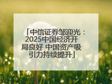 中信证券邹迎光：2025中国经济开局良好 中国资产吸引力持续提升