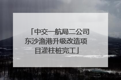 中交一航局二公司东沙渔港升级改造项目灌柱桩完工