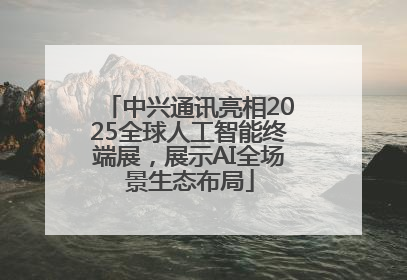 中兴通讯亮相2025全球人工智能终端展，展示AI全场景生态布局