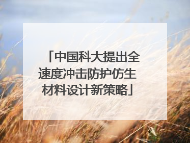 中国科大提出全速度冲击防护仿生材料设计新策略