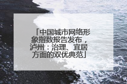 中国城市网络形象指数报告发布，泸州：治理、宜居方面的双优典范