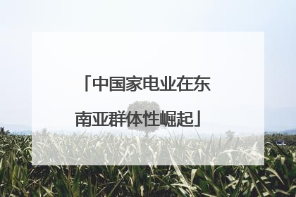 中国家电业在东南亚群体性崛起
