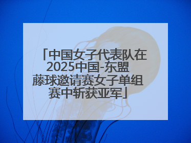 中国女子代表队在2025中国-东盟藤球邀请赛女子单组赛中斩获亚军