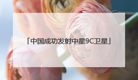 中国成功发射中星9C卫星