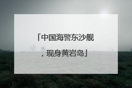 中国海警东沙舰，现身黄岩岛
