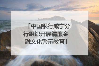 中国银行咸宁分行组织开展清廉金融文化警示教育