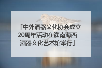 中外酒器文化协会成立20周年活动在灌南海西酒器文化艺术馆举行
