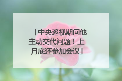 中央巡视期间他主动交代问题！上月底还参加会议